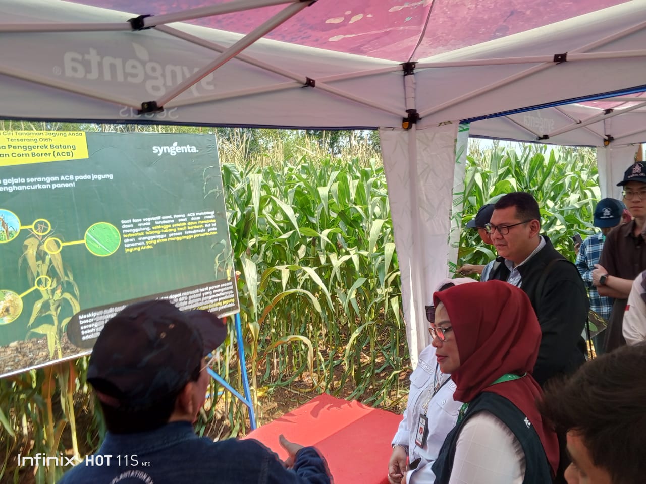 Punya Teknologi Canggih, Syngenta Gelar Corn Plantation Expo di Subang
