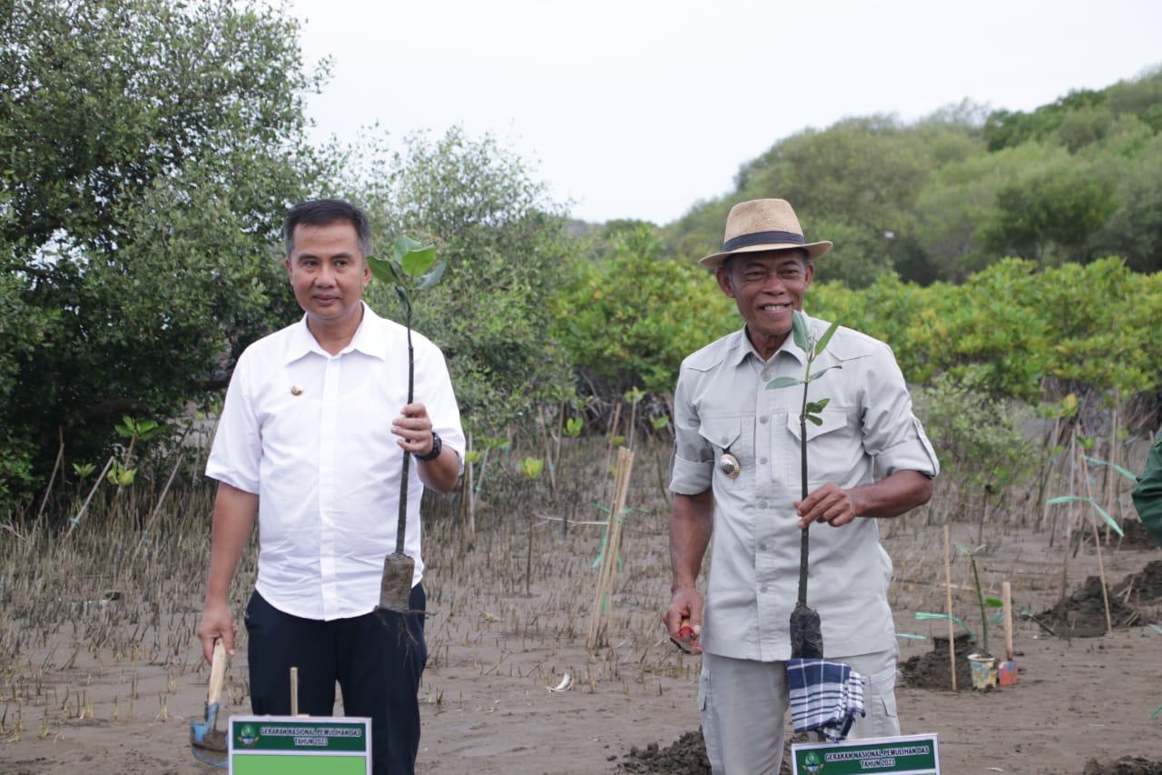 Kurangi Dampak Abrasi, Pj.Gubernur Jabar Bey Machmudin Tanam Pohon Mangrove di Pesisir Pantai Pondok Bali